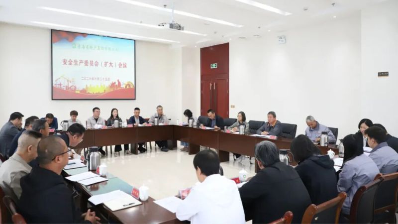 集團(tuán)召開安委會（擴(kuò)大）會議